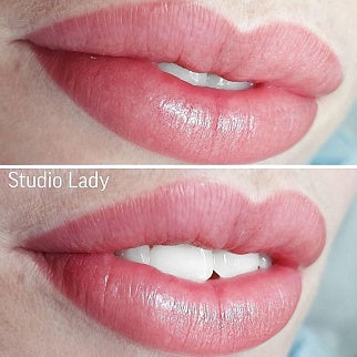 As Pigments Pink Paradise Lip Pigment