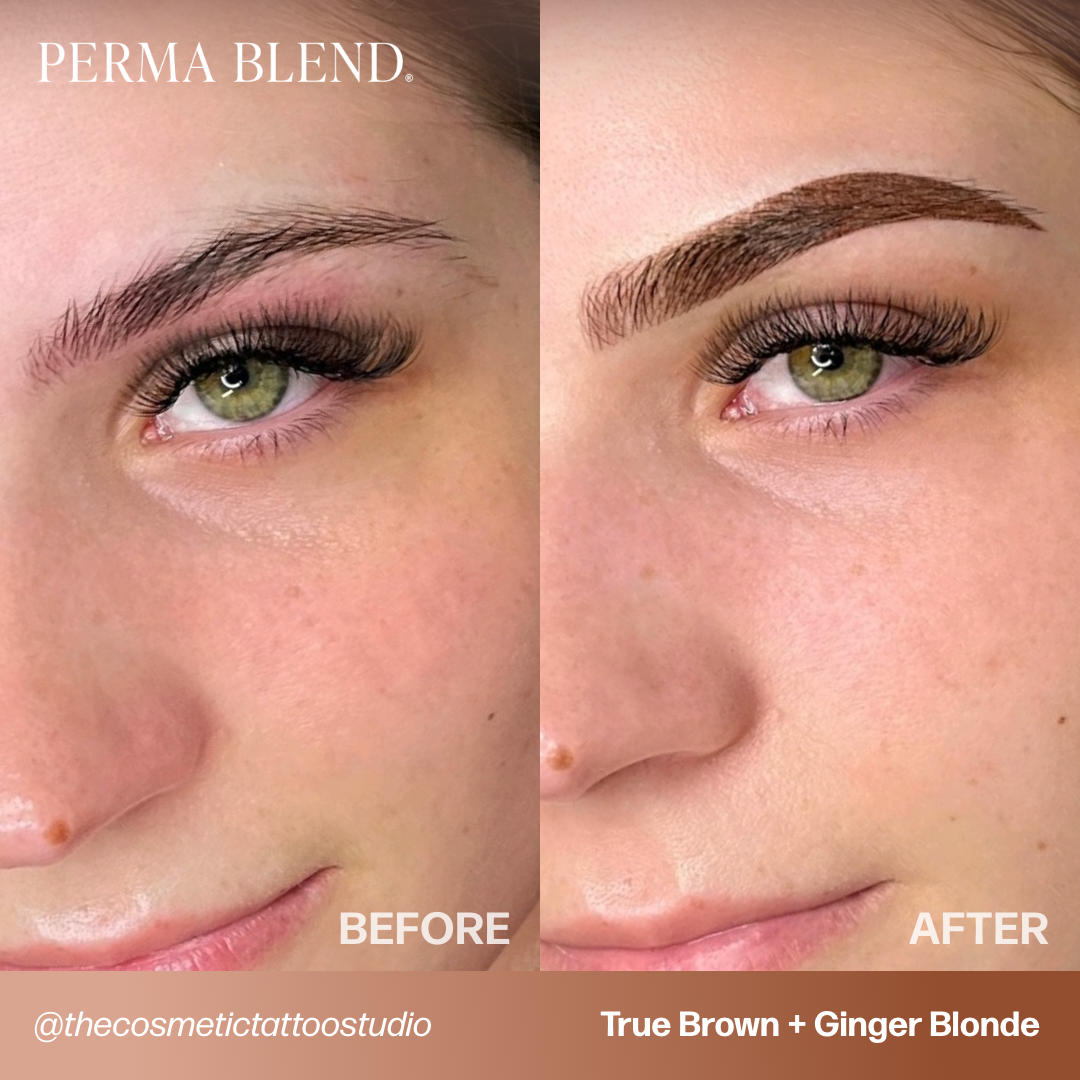 True Brown Perma Blend PMU Pigment 0.5 oz (15 ml)