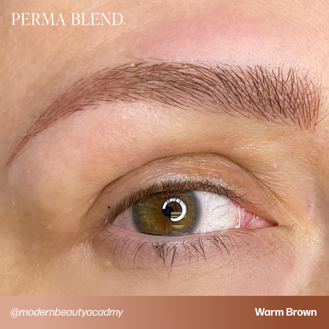 Warm Brown Perma Blend PMU Pigment 0.5 oz (15 ml)