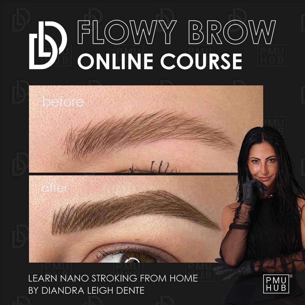 DLD Flowy Brow Nano Stroking Online Course