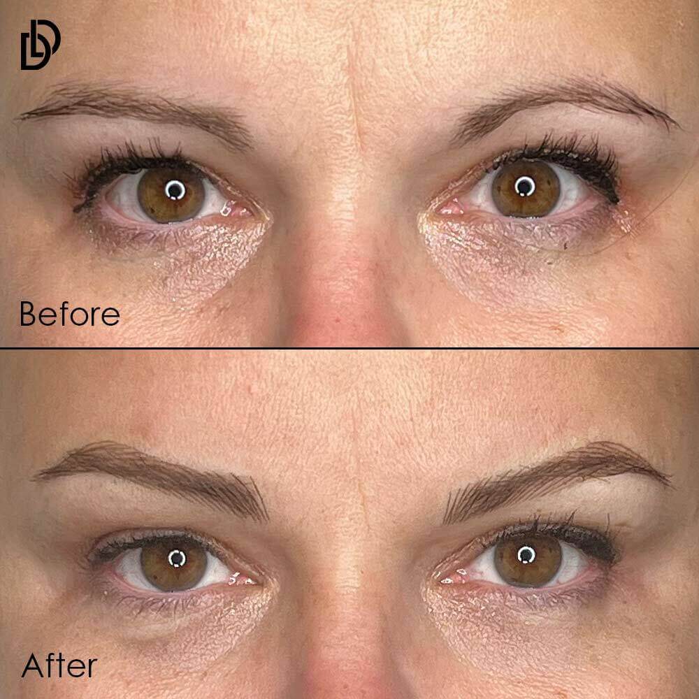 DLD Flowy Brow Nano Stroking Online Course