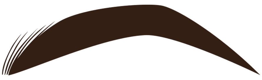 AS Pigments B2 Brazil Opium Colors Eyebrow Pigment