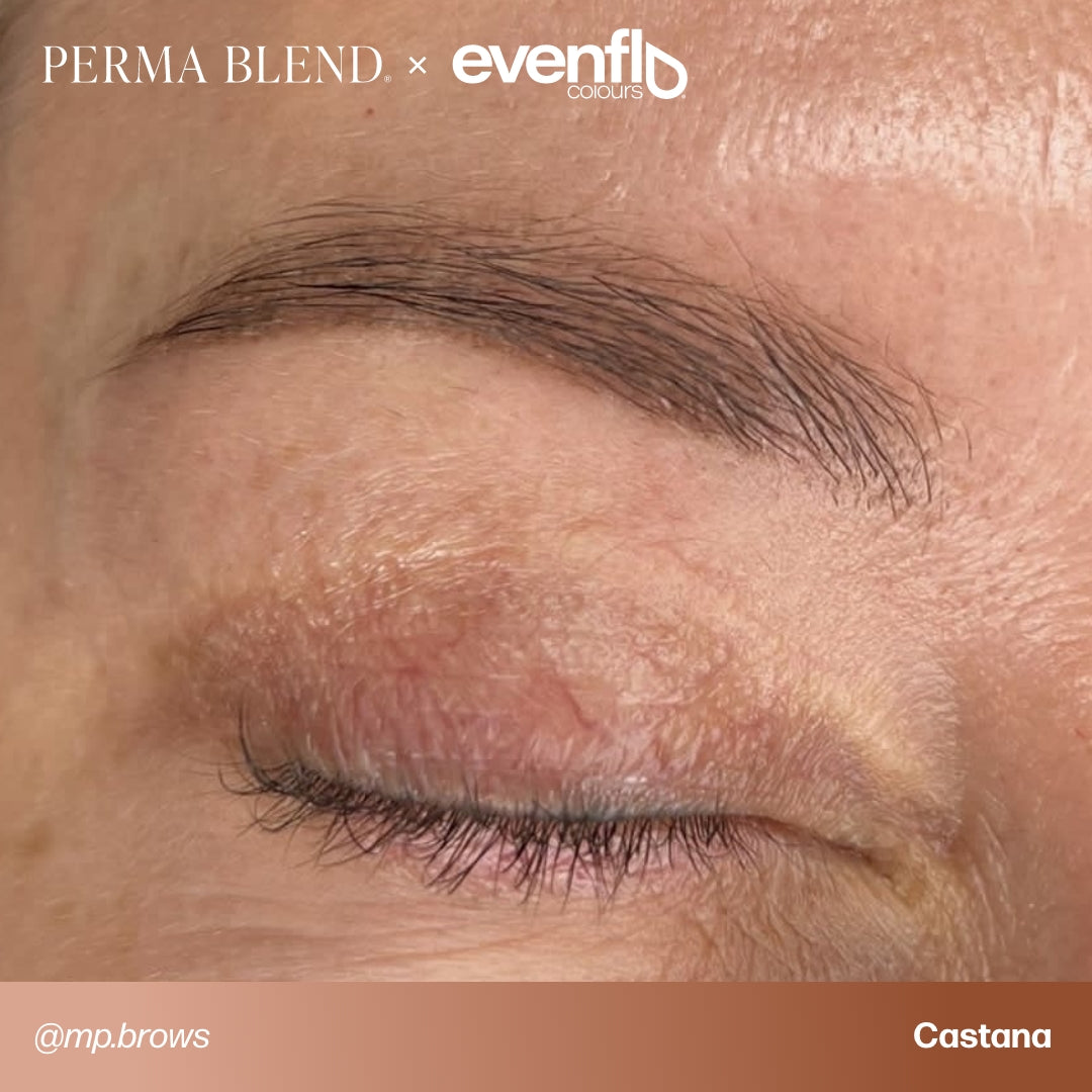 Brow permanent makeup example using Perma Blend Evenflo LUXE Castaña pigments