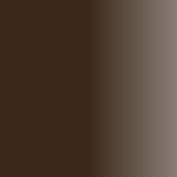 Swiss Color 205 Dark Brown Brow Pigment – color swatch