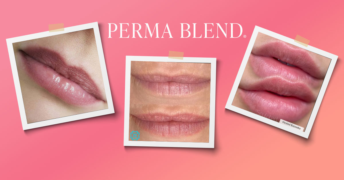 Perma Blend Lips Healed – Real Examples of How Best-Selling Pigment Sh ...