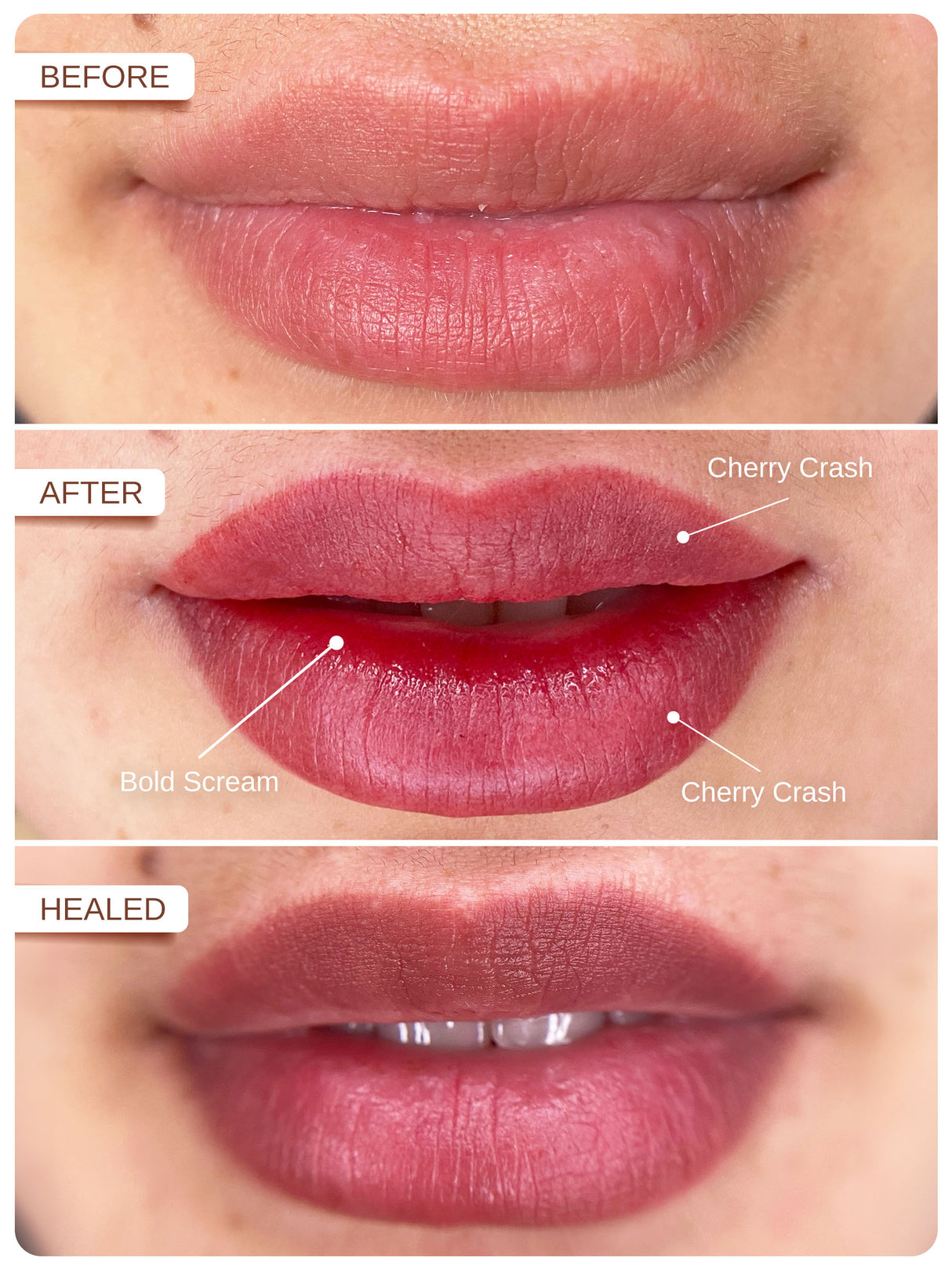 Phi Cherry Crash PMU Lip Shader Pigment 0.34 fl oz (10ml)