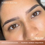 Ginger Blonde Perma Blend Pigment for Brow PMU 0.5 oz (15 ml)