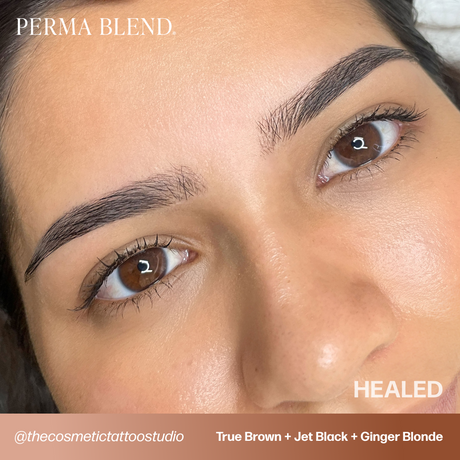 Ginger Blonde Perma Blend PMU Pigment for Brow PMU 0.5 oz (15 ml)