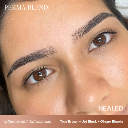 Jet Black Perma Blend Pigment for Brow PMU 0.5 oz (15 ml)