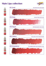 Hanafy Lips Pigment Set