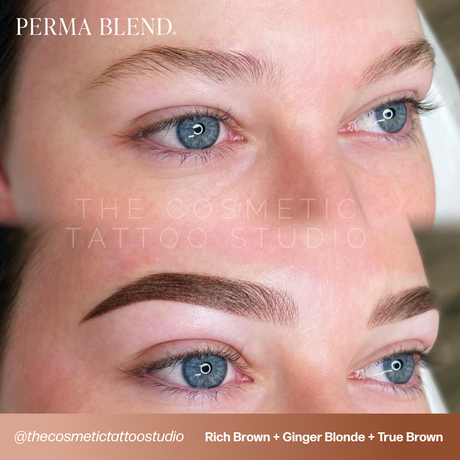 Rich Brown Perma Blend PMU Pigment for Brow PMU 0.5 oz (15 ml)