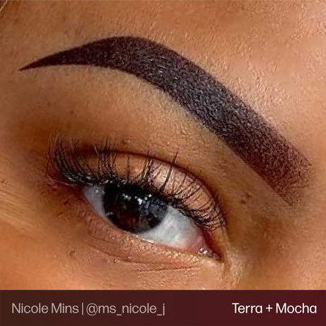 Mocha Evenflo Pigment 0.5 oz (15 ml)