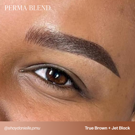 True Brown Perma Blend PMU Pigment 0.5 oz (15 ml)