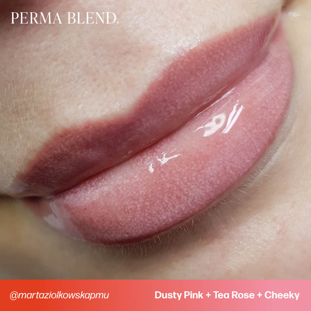 Dusty Pink Lip Pigment Combination