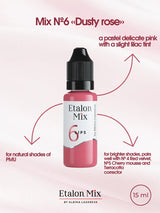 Etalon Mix #6 Dusty Rose lip pigment healed-result swatch
