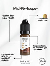 Etalon Mix #6 Taupe brow pigment skin swatch