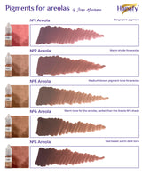 Hanafy Areola pigment shade chart, Incheon, Riga, Innsbruck, Nagoya and Amman
