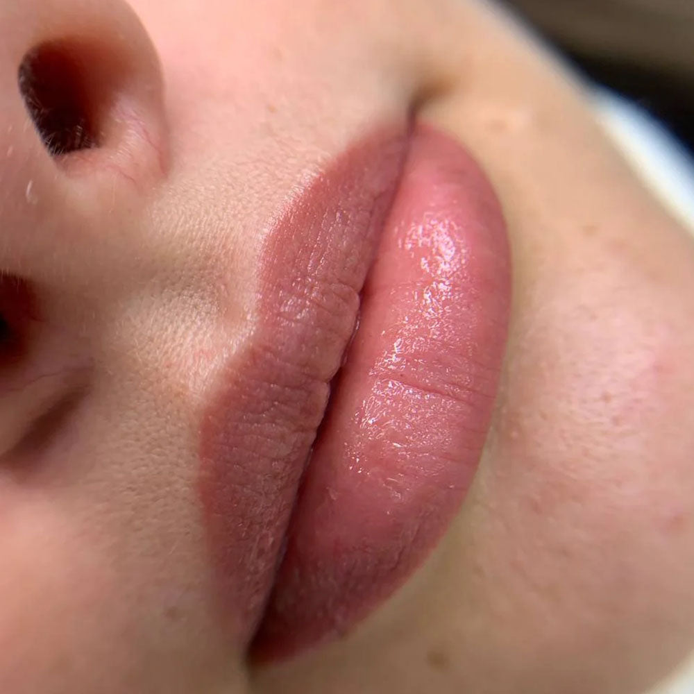 Hanafy N9 Soft Beige Lip Pigment – lip color application example