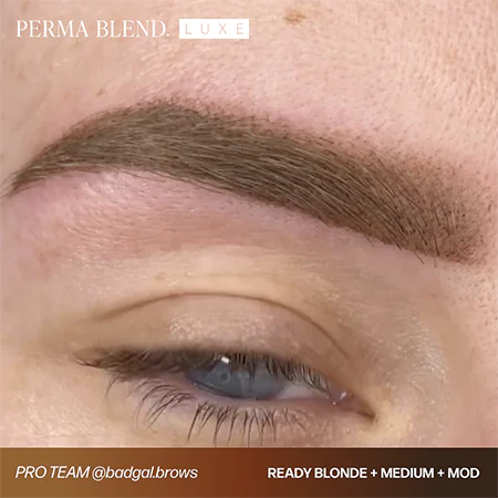 Ready Medium LUXE Perma Blend Pigment - Ink for Microblading & Eyebrow Permanent Makeup 0.5 oz & Ready Blonde LUXE Perma Blend Pigment - Ink for Microblading & Eyebrow Permanent Makeup 0.5 oz