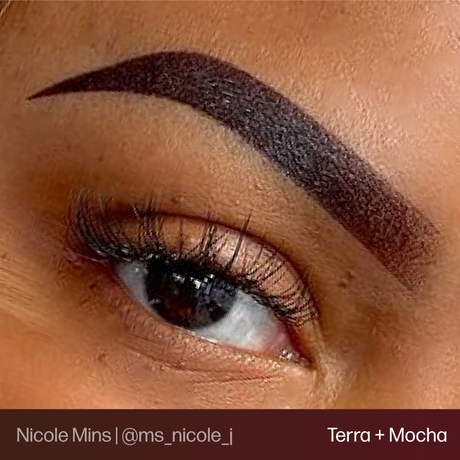 Brow permanent makeup example using Perma Blend Evenflo Classic Mocha and Terra pigments