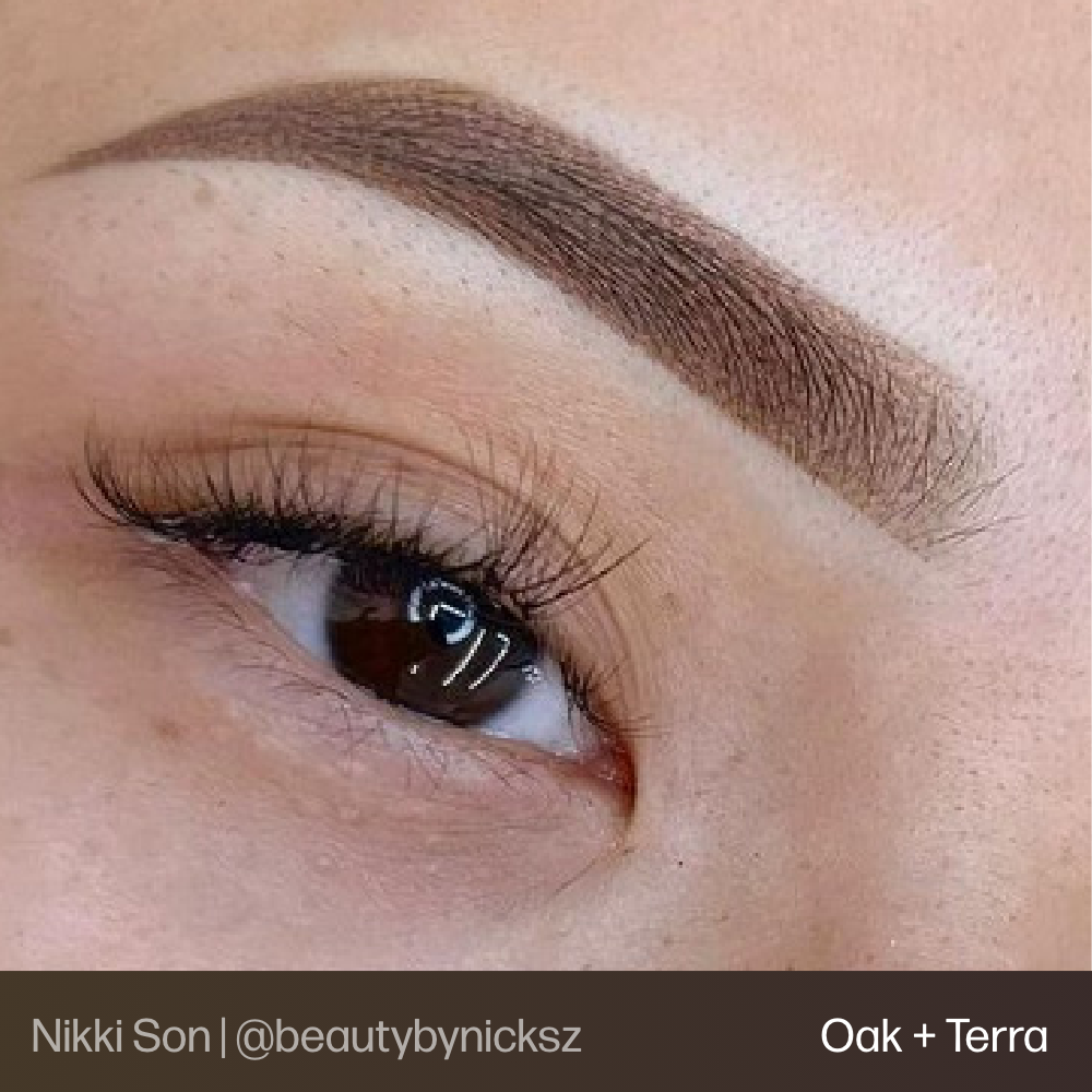 Brow permanent makeup example using Perma Blend Evenflo Classic Terra and Oak pigments