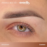 Brow permanent makeup example using Perma Blend Evenflo LUXE Castaña pigments