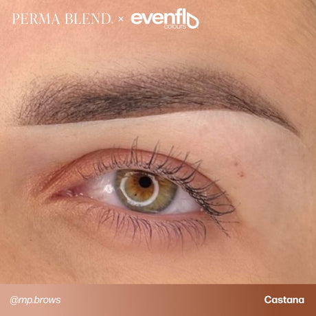 Brow permanent makeup example using Perma Blend Evenflo LUXE Castaña pigments