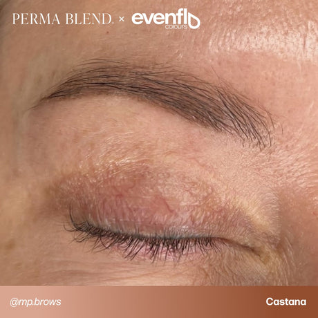 Brow permanent makeup example using Perma Blend Evenflo LUXE Castaña pigments
