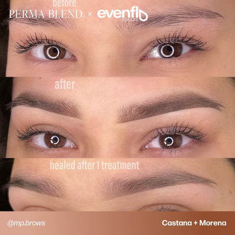 Brow permanent makeup example using Perma Blend Evenflo LUXE Castaña and Morena pigments