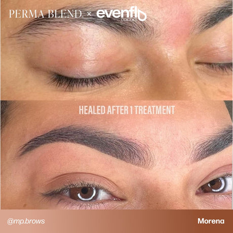 Brow permanent makeup example using Perma Blend Evenflo LUXE Morena pigments