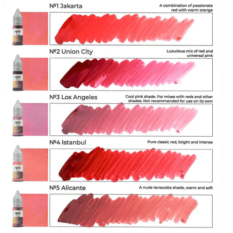 Hanafy Passion Palette Lips Pigment Set