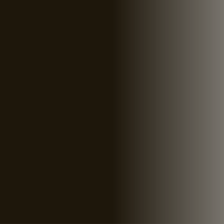 Swiss Color 716 Midnight Brown Brow Pigment – color swatch