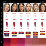 Tina Davies Envy lip pigment color chart with shade references and pigment information