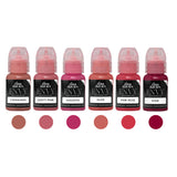 Tina Davies Envy lip pigment set with six 15 ml bottles: Cinnamon, Dusty Pink, Magenta, Nude, Pink Rose and Wine