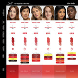 Tina Davies Lust lip pigment color chart with shade references and pigment information